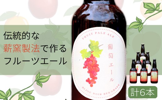 【ふるさと納税】クラフトビール【フルーツエール&定番)】6本セット 西粟倉ヒノキ醸造所  Q-MQ-A13A