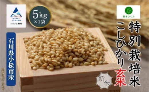 コシヒカリ 玄米 5kg 特別栽培米 令和7年産 新米 こしひかり コメ お米 石川県産 小松市産 【農家ふじた】