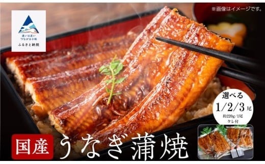 [真空パック]国産うなぎ蒲焼 選べる 1尾 / 2尾 / 3尾 鰻かば焼き タレつき 関西風 小松市 石川県 [株式会社竹本商店]