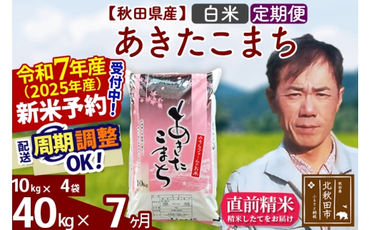 ※令和7年産 新米予約※《定期便7ヶ月》秋田県産 あきたこまち 40kg【白米】(10kg袋) 2025年産 お届け時期選べる お届け周期調整可能 隔月に調整OK お米 みそらファーム