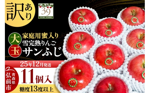 【25年12月発送】りんご 【 数量限定 】訳あり 雪完熟 家庭用 蜜入り 糖度13度以上 大玉 サンふじ 11個入り【レビューキャンペーン】