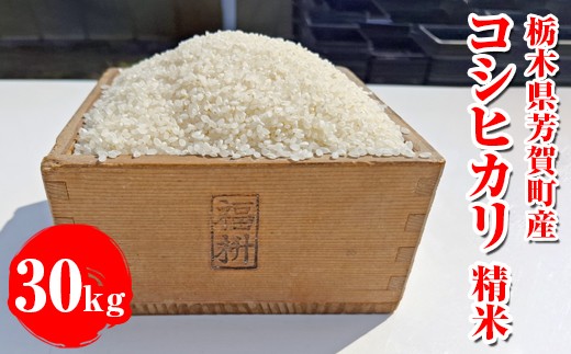 令和7年産 栃木県芳賀町産 コシヒカリ 精米 30kg｜米 お米 新米 白米 コメ こめ 国産 産地直送 旬 期間限定 季節限定 送料無料 ※2025年9月下旬頃～2026年1月下旬頃に順次発送予定