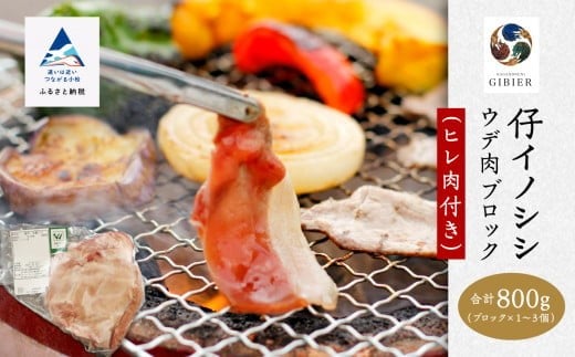 仔イノシシ ウデ肉 ブロック(ヒレ肉付き)800g