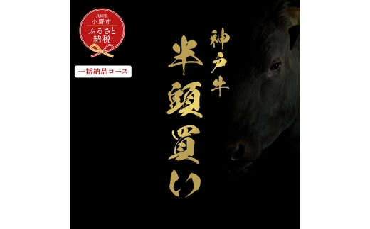 【和牛セレブ】神戸牛半頭分のセレブ体験（一括納品コース）/ 神戸ビーフ BBQ 牛肉 冷凍 ブランド牛 兵庫県 小野市 2294246 - 兵庫県小野市