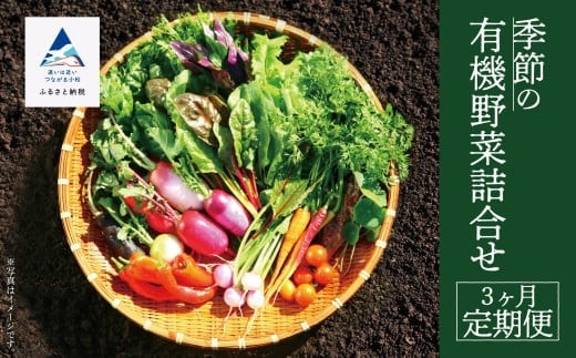 季節の有機野菜詰合せ 3ヶ月定期便 やさい（約1箱 40cm×30cm×20cm目安）【西田農園】旬の野菜詰め合わせ オーガニック野菜 3回 3ヵ月 石川県 小松市