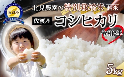 【令和7年産】北見農園の特別栽培米 令和7年佐渡産コシヒカリ 5kg 農家自慢の逸品 精米 2085649 - 新潟県佐渡市