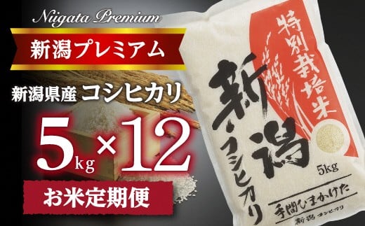 【令和7年産】『定期便』新潟プレミアム 特別栽培米 コシヒカリ 白米5kg × 12か月 FC185001