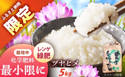 [ふるさと納税限定!]令和7年度産ツヤヒメ 5キロ / 米 お米 コシヒカリ 新米 精米 白米 産地直送 / 恵那市 / トモファーム [AUCA005]