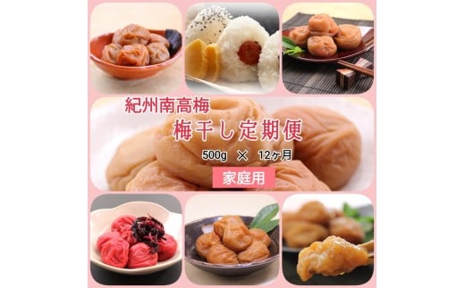 【発送月固定定期便】紀州南高梅 7種の風味 500g×12ヶ月 ご家庭用全12回