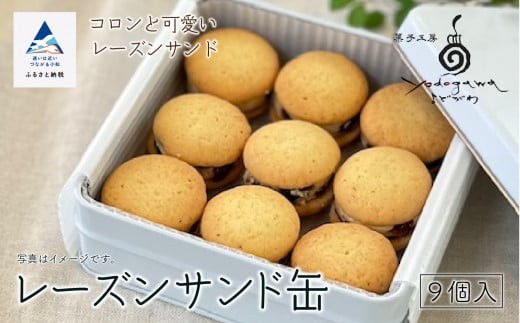 焼き菓子 クッキー レーズンサンド缶(缶入り)9個 冷凍