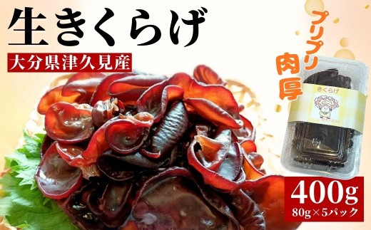 津久見産の肉厚生きくらげ　80g×5パック（400g） |　津久見市　小分　木耳　キクラゲ　国産　くらげ　生キクラゲ　生木耳　日本産　小分け　キクラゲ  きくらげ　国産　きのこ　国産