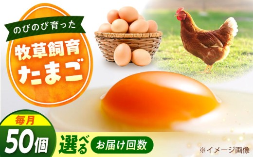 天心山　たまご50個　【回数が選べる定期便】卵 たまご 高級 食品 たまごかけご飯 卵かけご飯 卵焼き 生卵 濃厚 ケーキ お菓子 づくり ランキング 上位 人気 おすすめ 定期便　広島県福山市/天心山ファーム [BABW035]