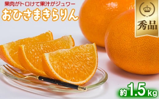 今村農園のおひさまきらりん 約1.5kg【秀品】 甘い オレンジ みかん ミカン 清美 1.5kg 1月発送 先行予約 贈答 柑橘類 フルーツ ＜107-023_7＞ 229267 - 大分県杵築市