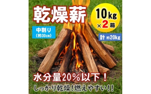 乾燥薪 キャンプ用 10kg×2箱 水分量20%以下しっかり乾燥 中割(約30cm) 広葉樹ミックス【1667356】 2294212 - 京都府与謝野町