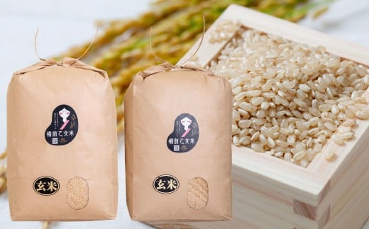 備前乙女米 玄米 10kg×2袋 合計20kg 米 お米 コメ 特A 岡山県 倉敷市【2025年10月下旬-2026年9月下旬発送予定】