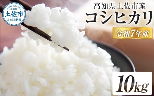 コシヒカリ 令和7年産 10kg 10キロ 精米 白米 お米 ご飯 ごはん 米 kome こめ こしひかり 高知県産 国産 お取り寄せ 常温 高知県 高知 土佐市