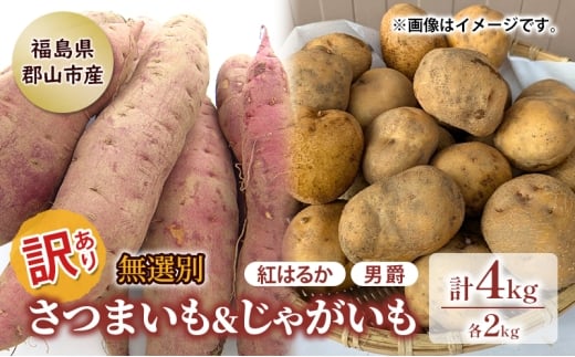 訳あり 無選別 セット キュアリング処理済貯蔵庫熟成 さつまいも & ホクホク 男爵 じゃがいも 4kg 芋 お芋