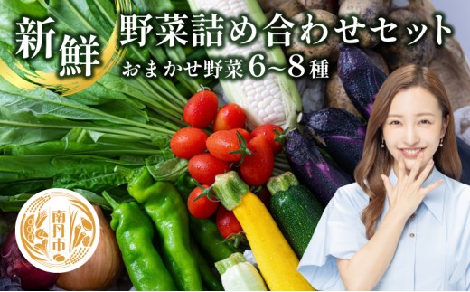 [№5334-0311]新鮮 野菜 詰め合わせ セット