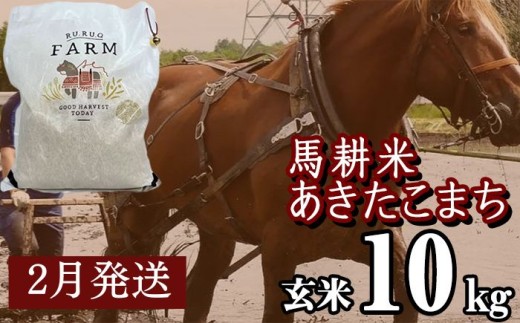 【 2026年 2月中旬より発送】 岩手県産 馬耕米 あきたこまち 玄米 10kg ／【株式会社スタディア】 お米 米 こめ コメ 馬ふん堆肥 使用 ご飯 ライス おにぎり 弁当 単一原料米 10キロ １０kg 馬耕 馬 ウマ うま 産地直送 国産 おすすめ 人気 2291150 - 岩手県滝沢市
