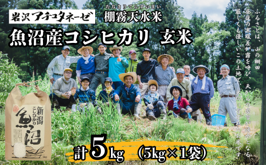 [令和7年産 新米予約] 魚沼産コシヒカリ 玄米5kg(5kg×1袋) ※2025年10月中旬頃から発送開始 岩沢アチコタネーゼ | 新潟県産 コシヒカリ お米 米 おこめ こめ コメ こしひかり 玄米 魚沼産 ブランド米 人気 おすすめ 産地直送[0008-0001-01]