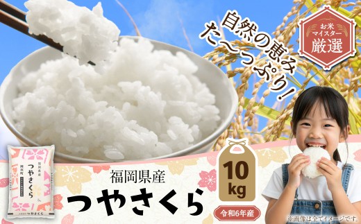【令和6年産】福岡県産つやさくら 10kg