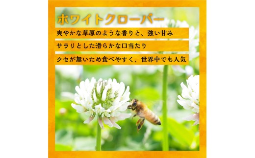 ～ホワイトクローバー～