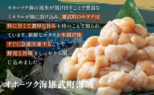 ほたて貝柱(ＢＣフレーク)2kg