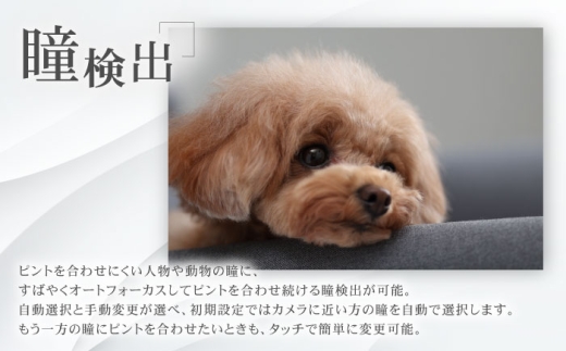 コンパクトなデザインが人気のカメラ！ ミラーレスカメラ 本体 キャノン カメラ Canon