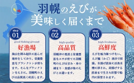 超速リキッド凍結でドリップゼロ！北海道羽幌産生鮮ぼたんえび 200g