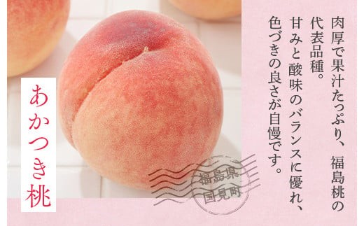 暁星 摘果桃 加工用 カリカリ 10kg 特産加工品】いちじく洋菓子3種セット（大）【ギフト品