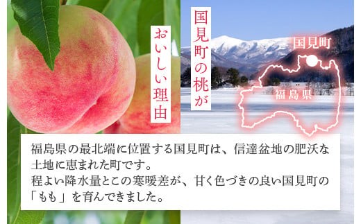 透過式光センサーまどか桃 特秀5kg相当 15玉～18玉＜ ふくしま