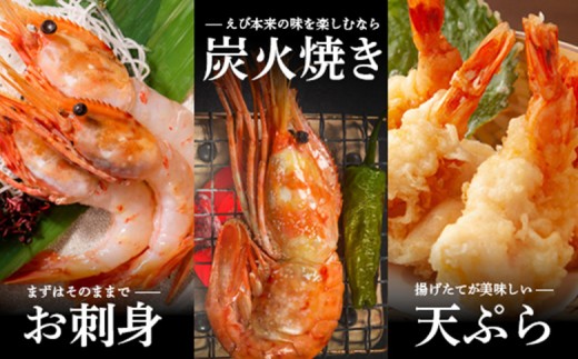 超速リキッド凍結でドリップゼロ！北海道羽幌産生鮮ぼたんえび 200g