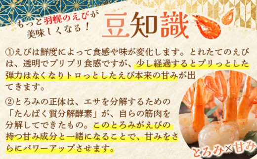 超速リキッド凍結でドリップゼロ！北海道羽幌産甘えび・ぼたんえびセット計400g