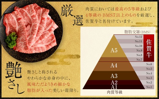 佐賀牛リッチな霜降り大判切り落とし 500g
