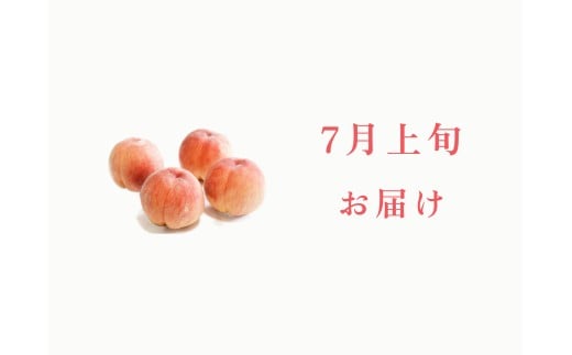＜2026年発送先行予約＞【7月上旬お届け】品種おまかせ！山梨県産の旬の桃 約4kg（約10〜12玉） ALPDS017