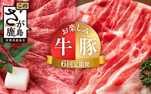 定期便 6回 佐賀の牛・豚 お楽しみ定期便 J-30