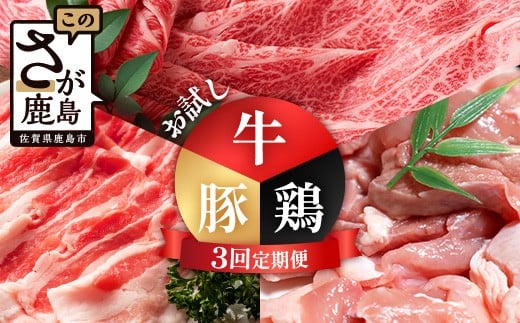 定期便 3回 佐賀の牛・豚・鶏 お試し定期便 E-173