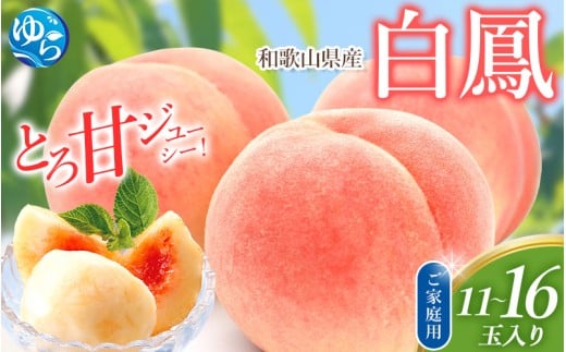 桃 訳あり 白鳳 和歌山県産 11～16玉入り※2026年6月下旬～発送 もも　桃 くだもの 甘い 特選 和歌山【mtgn046B】