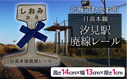 第2弾 日高本線廃線レール 厚さ1cm（限定品） 【 ふるさと納税 人気 おすすめ ランキング 廃線 レール フォトスタンド 置物 限定 北海道 むかわ町 送料無料 】MKWG030