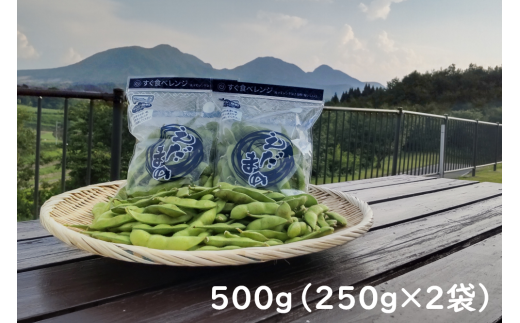 採れたて新鮮！！高山村の名産枝豆　５００ｇ