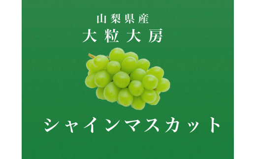 ＜2026年発送先行予約＞大粒大房！山梨県産シャインマスカット 3房 ALPDS008 2294082 - 山梨県南アルプス市
