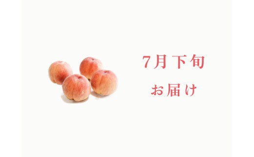 ＜2026年発送先行予約＞【7月下旬お届け】品種おまかせ！山梨県産の旬の桃 約2kg（約5〜6玉） ALPDS018