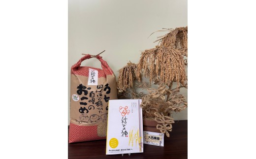 1870 精米発送(玄米10kgを精米してから発送するため1割ほど目減りします)令和7年産結びの神 数量限定 ご飯 お米 コメ 10キロ 白米 伊勢市 伊勢市産 伊勢志摩 三重県 米粒が大きい つや べたつき少ない もちもち ふっくら 大西農園 2300392 - 三重県伊勢市
