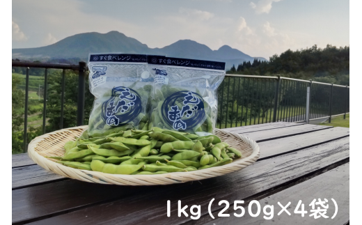 採れたて新鮮！！高山村の名産枝豆　１ｋｇ　