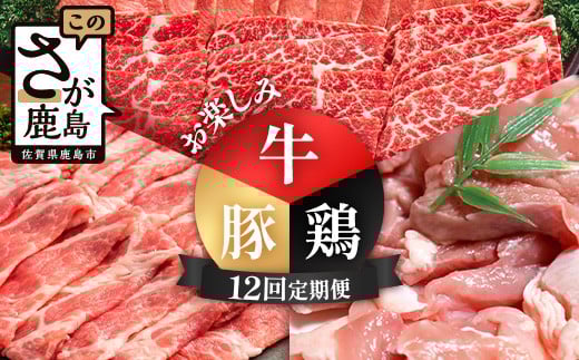 定期便 12回 佐賀の牛・豚・鶏 お楽しみ定期便 V-78