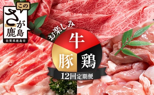 定期便 12回 佐賀の牛・豚・鶏 お楽しみ定期便 P-12