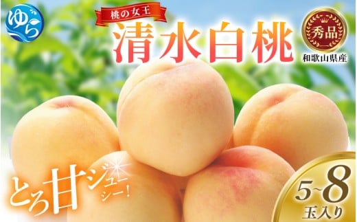 桃 和歌山県産 清水白桃 5～8玉入り 秀品※2026年7月中旬～発送 もも　桃 くだもの 甘い 特選 和歌山【mtgn065A】