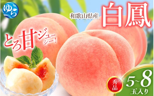 白鳳 桃 5～8玉入り 秀品 【2026年6月下旬以降発送】桃 モモ フルーツ 果物 くだもの 人気 産地直送 厳選 甘い 予約 もも フルーツ王国【mtgn053B】 480769 - 和歌山県由良町
