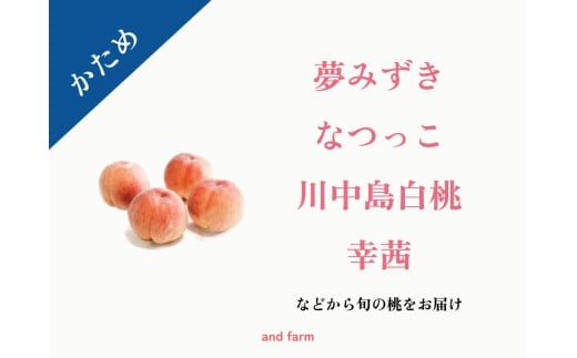 ＜2026年発送先行予約＞【かため桃】シャキッとかための桃好き必見！桃のリレーが楽しめる！約4kg （約10~12玉） ALPDS015