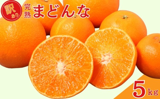 先行予約 訳あり 完熟まどんな 5kg サイズミックス みかん 蜜柑 mikan まどんな 愛果28号 人気 ブランド 高級 紅まどんな 同品種 柑橘 果物 フルーツ 甘い おいしい 産地直送 農家直送 国産 特産品 中山農園 愛媛県 愛南町